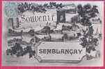 37-008   SEMBLANCAY  Indre & Loire  Souvenir De Semblançay - Semblançay