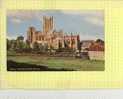 Angleterre - Wells Cathedral From The Hill - CPM Couleur 1990 - Ed J. Salmon N° 1-53-03-07 - Wells