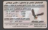 BIRDS - EAGLE - Águilas & Aves De Presa