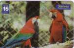 PARROTS - Brazil Old Rare Card * Parrot Perroquet Papagei Papageien Perroquets Pappagallo Papagaio Loro Pappagalli Loros - Brazil