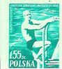 NATATION TIMBRE NEUF NON DENTELE PLONGEON POLOGNE 1955 - Natación