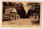 Camp De Bitche Les Cafés Et Entrée De La Forêt - Bitche