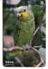 PARROTS - Brazil Old Rare Card * Parrot Perroquet Papagei Papageien Perroquets Pappagallo Papagaio Loro Pappagalli Loros - Brasil