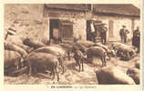 19 - 23 - 87 - SERIE En LIMOUSIN - BELLE SCENE - COUR De FERME - LE CASSE  CROUTE Des COCHONS - Farms