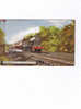 LIVERPOOL    Express  Carte Neuve - Liverpool