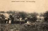 80 QUEND PLAGE A 600m Du Rivage, Animée, Pub Au Dos "location Villas, Vente Terrain", Ed ?, 1913 - Quend