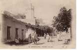 MOSTAGANEM-TIGDITT  Belle Cpa Animée D´une Rue + âne + Minaret - Mostaganem