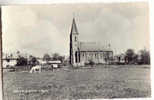 5692 - BACLAIN-CHERAIN - L' Eglise - Gouvy