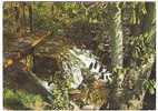 DONNEMARIE-DONTILLY ,La Cascade ;+ Illustrée D'une Ecluse ,d'un Pont De Bois Et D'un Marronnier;TB - Donnemarie Dontilly