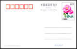 1998 CHINA PP 11 ROSE P-CARD - Cartoline Postali