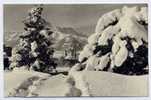 Réf 111  - LEYSIN Et Les Dents Du Midi (1960) - Leysin