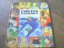 CONTES D ANDERSEN AUX EDITIONS LITO. 1999 - Contes