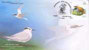 Bird, Stork, Pigeon, Dove, Postmark, Wildlife, Bird Sanctury - Storks & Long-legged Wading Birds