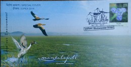 Bird, Marshland,pictorial Postmark, Special Cover,Sanctury - Cigognes & échassiers