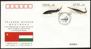 PFTN.WJ-017 CHINA-HUNGARY DIPLOMATIC COMM.COVER - Lettres & Documents