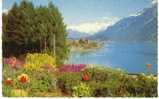 Brienz An Brienzersee - Brienz