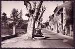 VAUCLUSE - Cadenet - Avenue Philippe De Girard - Cadenet