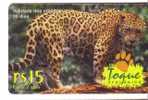 Brasil - Faune – Animaoux – Jungle – Ounce - Once - Jaguar - Leopard - Panther ( See Scan ) - Oerwoud