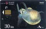 TRANSPARENT Card BOBIC ( Croatia ) - Underwater - Fish - Poisson - Fisch - Pez - Pesci - Transparente  Bobić - Peces