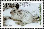 Timbre De St.Pierre Et Miquelon ** TBB Thema Faune (Mammifères) - Rabbits