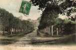 27 LE NEUBOURG Vue Prise De L' Avenue Du Champ De Bataille, Colorisée, Ed Loncle 177, 191? - Le Neubourg