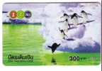 Thailand - Bird - Manchot - Pingouin – Penguin - Penguins - Pingouins -  Pinguin - Pinguine ( Card Is Little Bend ) - Tailandia