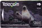 New Zealand - Fauna - Faune - Animals - Animaux - Animal - Undersea - Underwater - SEA LION  ( WWF  ) - Nouvelle-Zélande