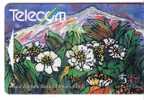 New Zealand - Flora ( Flore ) – Fleur ( Fleurs ) - Flowers – Blume (blumen) – Flor – Struzzo - Mount Cook Lily - Neuseeland