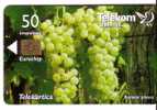 Slovenija - Wine - Vintage - Vin - Grape - Raisin - Grapes - Wineyards - Map - Maps - RUMENI PLAVEC  ( Limited Card ) - Slowenien