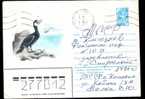 URSS,stationery Cover  1978 With Birds,raptors, - Flamants