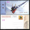 2008 CHINA KITES P-CARD - Cartes Postales