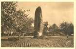 ENVIRONS DE DOL PIERRE DU CHAMP-DOLENT MAGNIFIQUE MENHIR - Dol De Bretagne