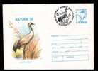 Romania Stationery Cover With Birds Stork Code 112/1993,+ Special Post Mark. - Picotenazas & Aves Zancudas