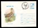 Romania Stationery Cover With Birds Partridge Code 113/1993,+special Post Mark. - Storchenvögel