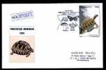 Romania  2004  Special  Covers With Turtles. - Tortugas