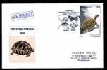 Romania  2004  Special  Covers With Turtles. - Tortues