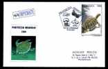 Romania  2004  Special  Covers With Post Mark  Turtles. - Schildkröten