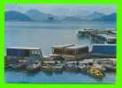 TAIWAN - SUN MOON LAKE, CENTRA - ANIMATED WITH BOATS - - Taiwan