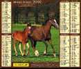 CALENDRIER 2002 ALMANACH - Groot Formaat: 2001-...