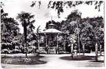 CP Luçon (Vendée) Kiosque à Musique Du Jardin Dumaine - Lucon