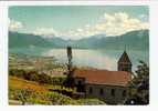 Du Mont Pèlerin Vue Sur Vevey, La Tour De Peilz, Lac Léman Et Les Dents Du Midi (06-656) - La Tour-de-Peilz