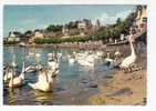 Nyon: Le Quai Et Le Chateau, Cygne (06-691) - Nyon