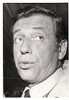 PHOTO DE PRESSE / RARE : Yves  MONTAND : PORTRAIT  ( 6 ) - Foto's