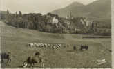 CPSM DENTELEE FORMAT CPA VUE GENERALE ET CHATEAU DE LA ROBEYRE - Embrun