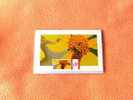 Carte Coccinelle Sur Fleur Jaune - Enveloppe Et Timbre Belge Avec La Même Photo - Ref A3418 - Insectos