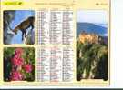 Calendrier Almanach Du Facteur 2004 Faune Aigle Bouquetin Flore - Formato Grande : 2001-...