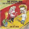 THE SPECIAL AKA   °°   WHAT I LIKE MOST ABOT ... - Otros - Canción Inglesa