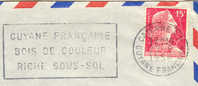 Guyane - Flamme 1956 Sur Lettre Entière Guyane Bois De Couleur - Riche Sous-sol Sur Muller - Sonstige & Ohne Zuordnung