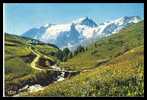 Oisans Massif De ...2449 Les Prés En Fleurs Face à La Meije - Bourg-d'Oisans