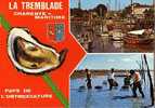 CP La Tremblade "pays De L'ostréiculture, Multi-vues Port Et Ramssage Des Coquillages, Circulé 1975 - Non Classés